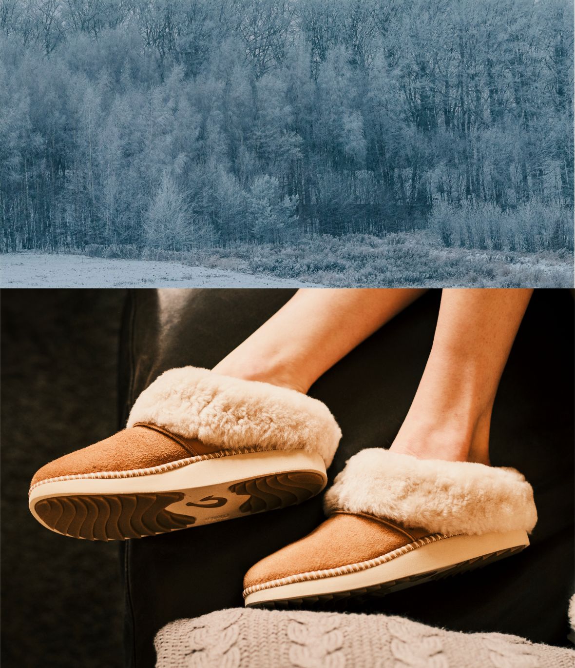 fallback text for an image